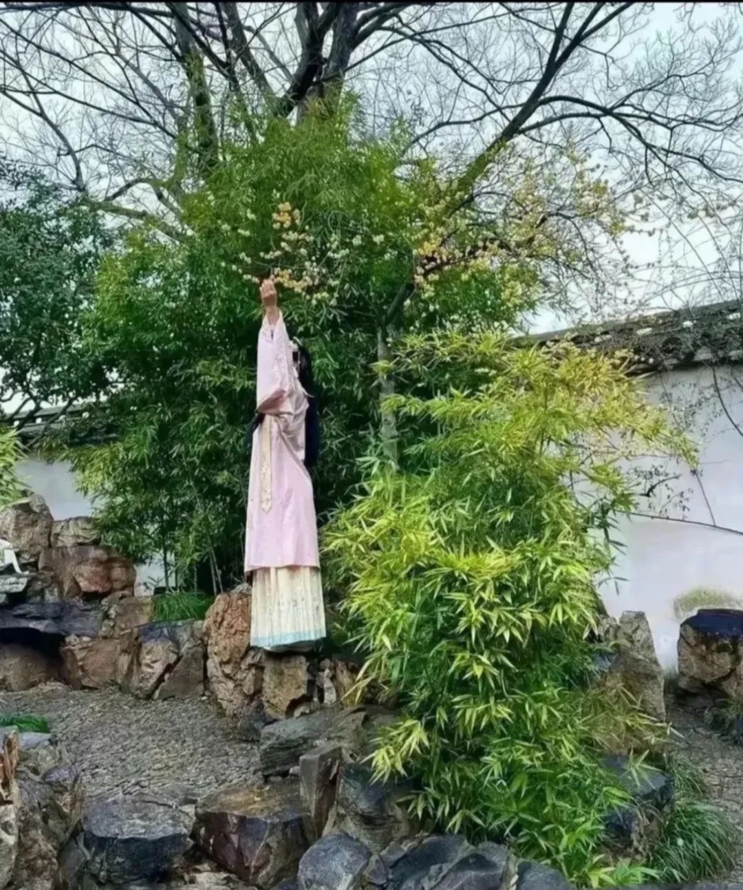 图片 100016