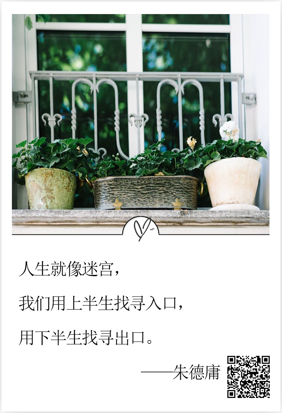 图片 100011