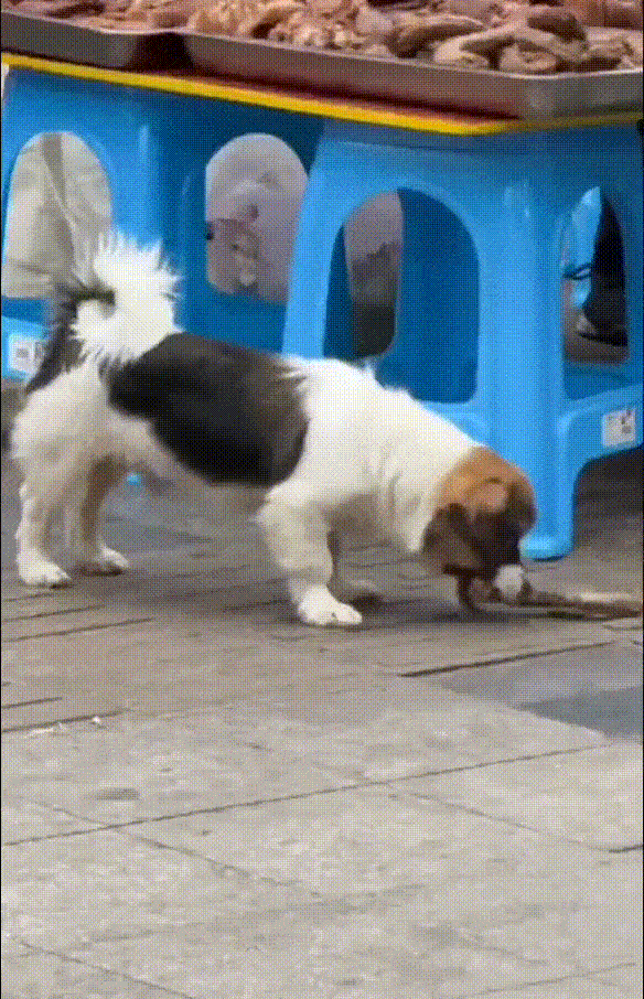 图片 100015