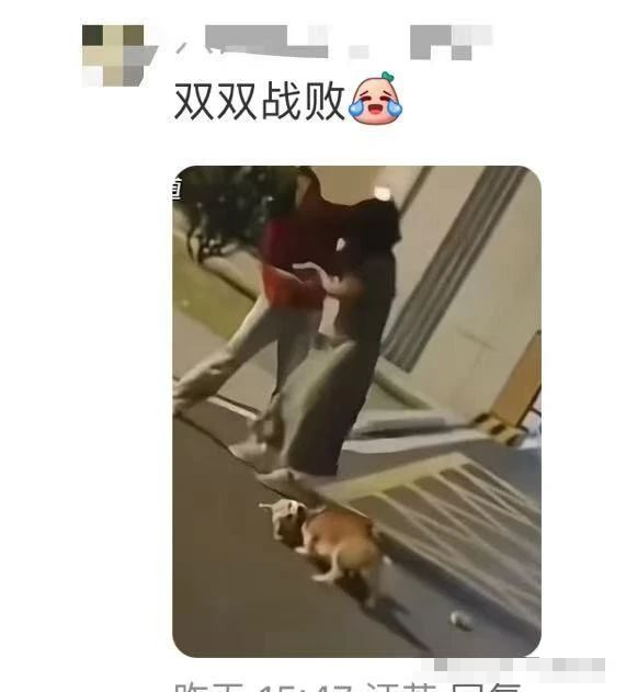 图片 100020