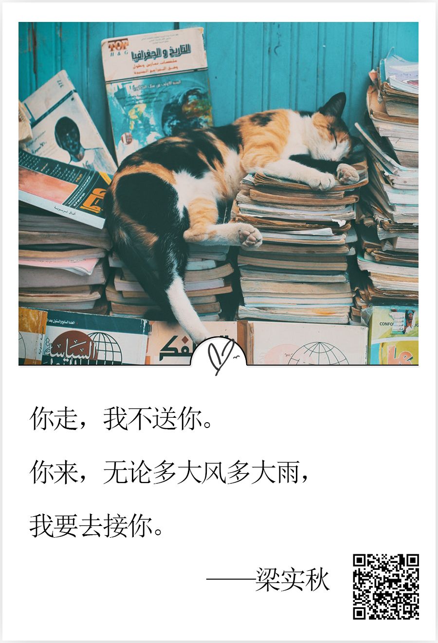 图片 100017