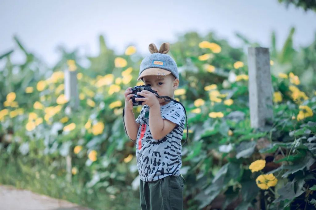 Picture